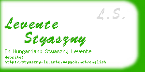 levente styaszny business card